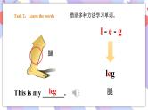 Module 4 Unit 2 These are your eyes 课件+教案+习题