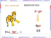 Module 6 Unit 2 They're little and cute 课件+教案+习题