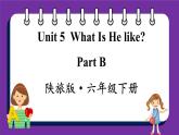 Unit5 What Is He like Part B（课件+素材）陕旅版（三起）英语六年级下册