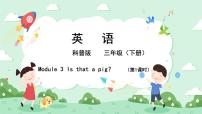 小学英语科普版三年级下册Lesson 3 Is that a pig?一等奖课件ppt