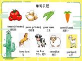人教版(PEP)四年級下冊Unit4 At the farm知識點(diǎn)復(fù)習(xí)課件