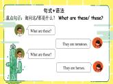 人教版(PEP)四年級下冊Unit4 At the farm知識點(diǎn)復(fù)習(xí)課件