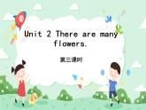 unit 2 there  are many flowers.   第三课时课件