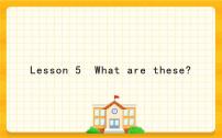 小学英语科普版四年级下册Lesson 5 What are these?优质课件ppt