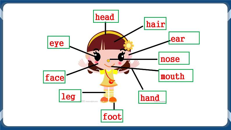 Unit 4 I have big eyes Fun time & Song time 课件+教案+练习+素材04