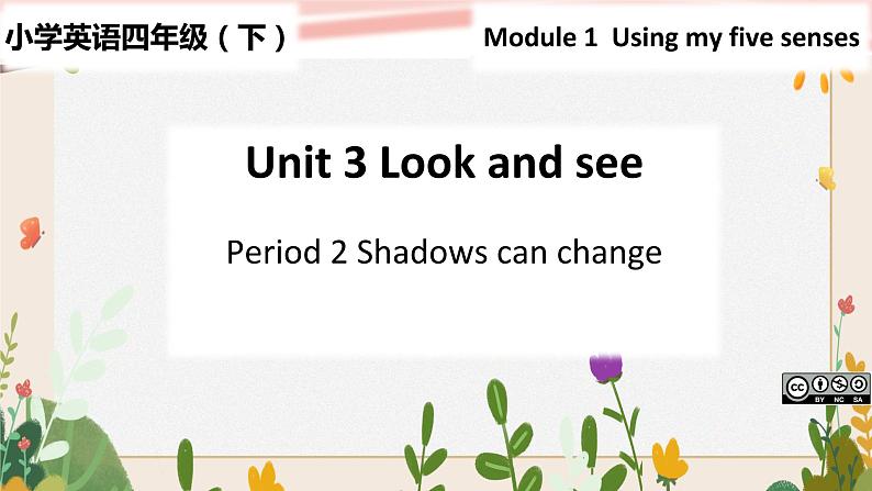 Module 1 Unit3 Look and see 第2课时 教案+课件01