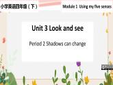 Module 1 Unit3 Look and see 第2课时 教案+课件
