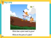 Module 4 Unit 10 My garden 第3課時 教案+課件