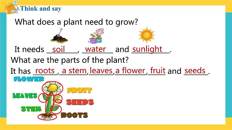 Unit 10 My garden 第3课时（课件）第3页