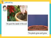 Module 4 Unit 10 My garden 第3課時 教案+課件