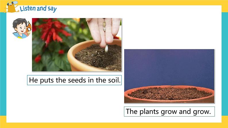 Unit 10 My garden 第3课时（课件）第5页