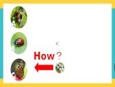 Module 4 Unit 10 My garden 第4課時 教案+課件