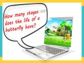 Module 4 Unit 10 My garden 第4課時 教案+課件