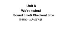 小学英语新版-牛津译林版三年级下册Unit  8  We're twins!教案配套课件ppt