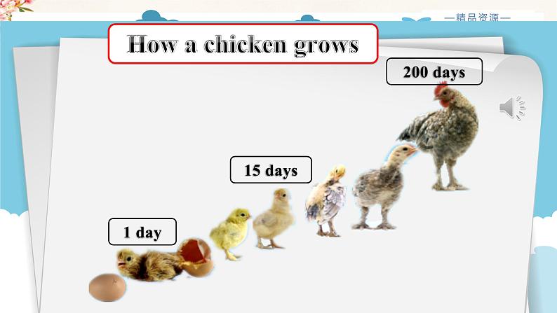 Unit 4 Read and write课件第6页