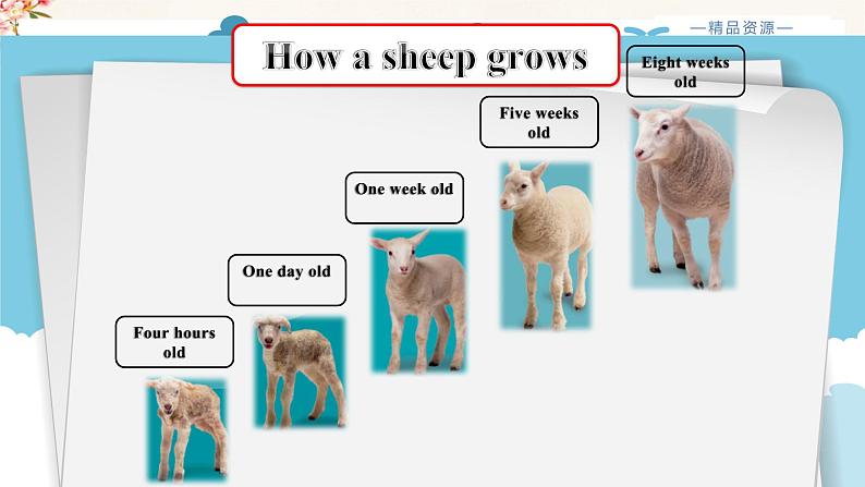 Unit 4 Read and write课件第7页