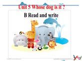 【精品配套备课包】五年级下册英语-Unit 5 Whose dog is it Part B Read and write课件+教案+导学案+名师授课稿+音视频素材人教PEP