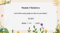 小学Unit 10 How many people are there in your family?评优课习题ppt课件