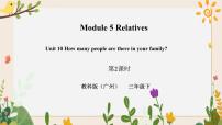 教科版 (广州)三年级下册Unit 10 How many people are there in your family?评优课习题课件ppt