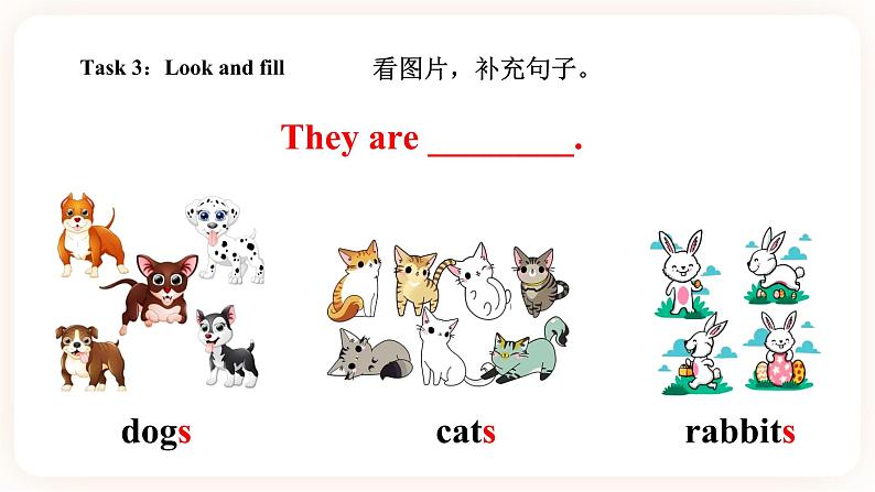 Module 6 Pets Unit 11 They're lovely （第1课时 ）课件+教案+习题（含答案）+素材08