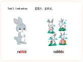 Module 6 Pets Unit 12 Whose rabbits are these （第1课时 ）课件+教案+习题（含答案）+素材