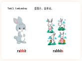 Module 6 Pets Unit 12 Whose rabbits are these（第3课时 ）课件+教案+习题（含答案）+素材