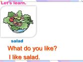 川教版三起 四下Unit 2 Lesson 4 What Do You Like课件