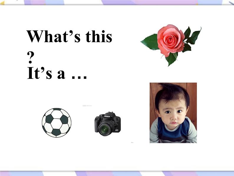 Lesson 5 What Are Those课件（15张）第2页