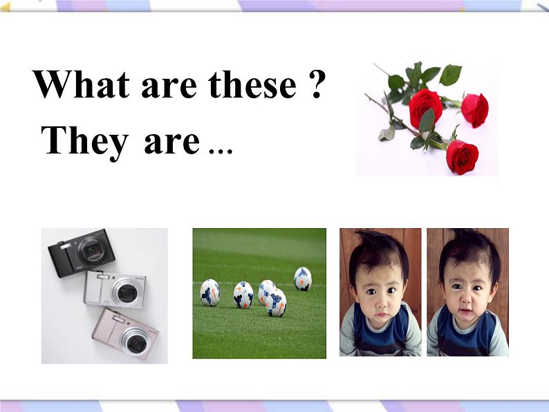 Lesson 5 What Are Those课件（15张）第6页