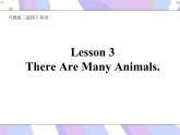川教版三起 四下Unit 3 Lesson 3 There Are Many Animals.课件