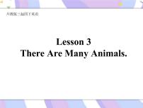 小学Lesson 3 There are many animals获奖课件ppt