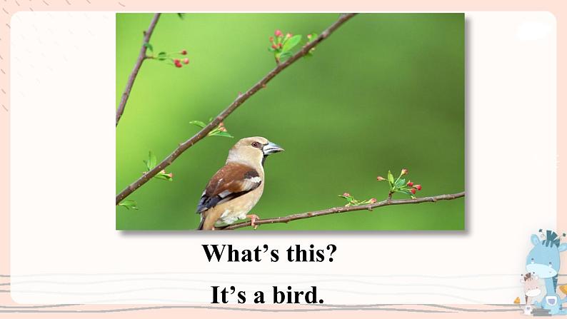 Review Module U2 课件PPT+音视频素材04