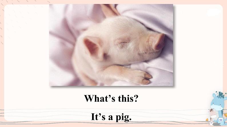 Review Module U2 课件PPT+音视频素材05