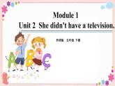 Module 1 Unit 2 She didn’t have a television 课件+素材