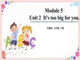 Module 5 Unit 2 It’s too big for you 课件+素材