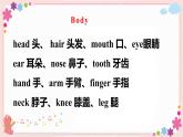 Review Module Unit 2 课件PPT