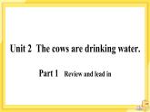 Module 3 Unit 2 The cows are drinking water（课件PPT+音视频素材）