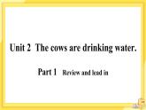Module 3 Unit 2 The cows are drinking water（課件PPT+音視頻素材）
