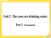 Module 3 Unit 2 The cows are drinking water（課件PPT+音視頻素材）