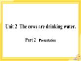 Module 3 Unit 2 The cows are drinking water（课件PPT+音视频素材）