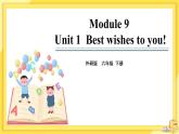 Module 9 Unit 1 Best wishes to you!（课件PPT+音视频素材）