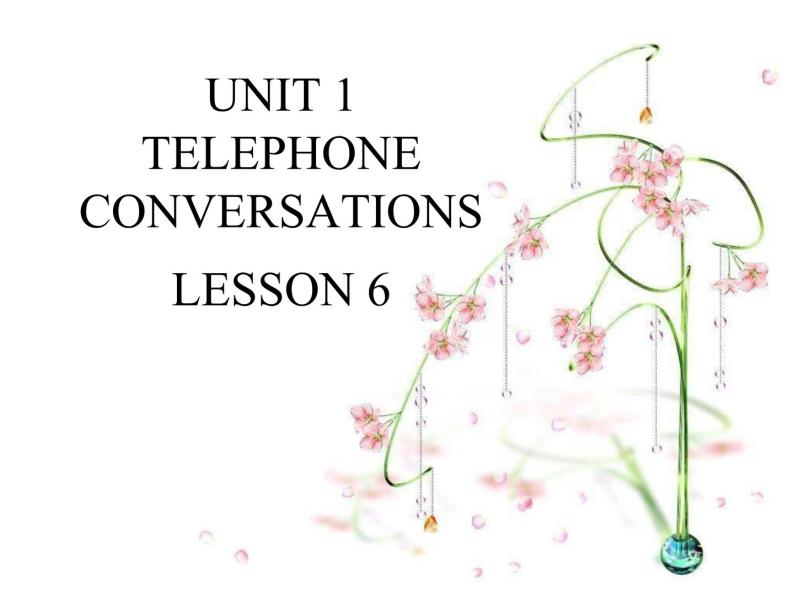 UNIT 1 TELEPHONE CONVERSATIONS LESSON 6课件PPT01