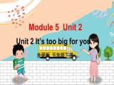 外研5英下 Module 5 Unit 2 PPT课件+教案