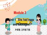 外研5英下 Module 3 Unit 1 PPT课件+教案