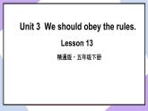 人教精通版英语五下 Unit 3 We should obey the rules Lesson 13 （课件+教案）