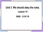 人教精通版英语五下 Unit 3 We should obey the rules Lesson 14 （课件+教案）
