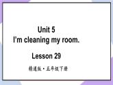 人教精通版英语五下 Unit 5 I'm cleaning my room Lesson 29 （课件+教案）