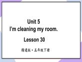 人教精通版英语五下 Unit 5 I'm cleaning my room Lesson 30 （课件+教案）