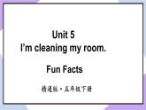 人教精通版英语五下 Unit 5 I'm cleaning the room Fun Facts课件