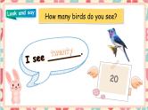 部编版PEP三年级下册 Unit 6 How many PB let's talk课件+教案+练习+动画素材